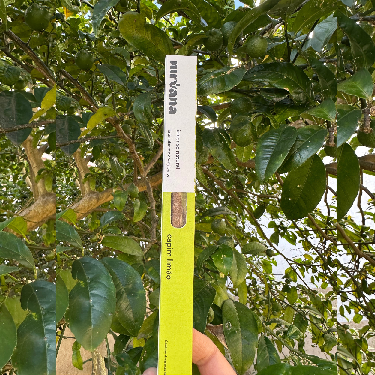 Incenso CAPIM lIMÃO Nirvana natural.