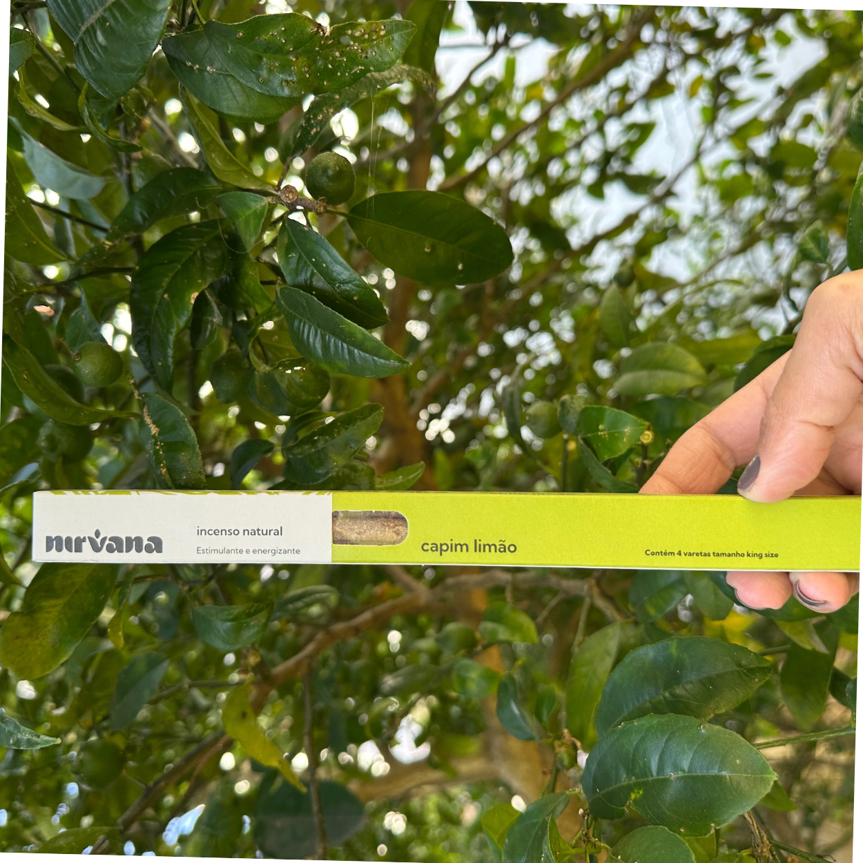 Incenso CAPIM lIMÃO Nirvana natural.