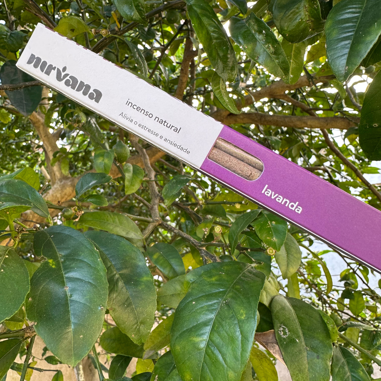 Incenso LAVANDA Nirvana natural.