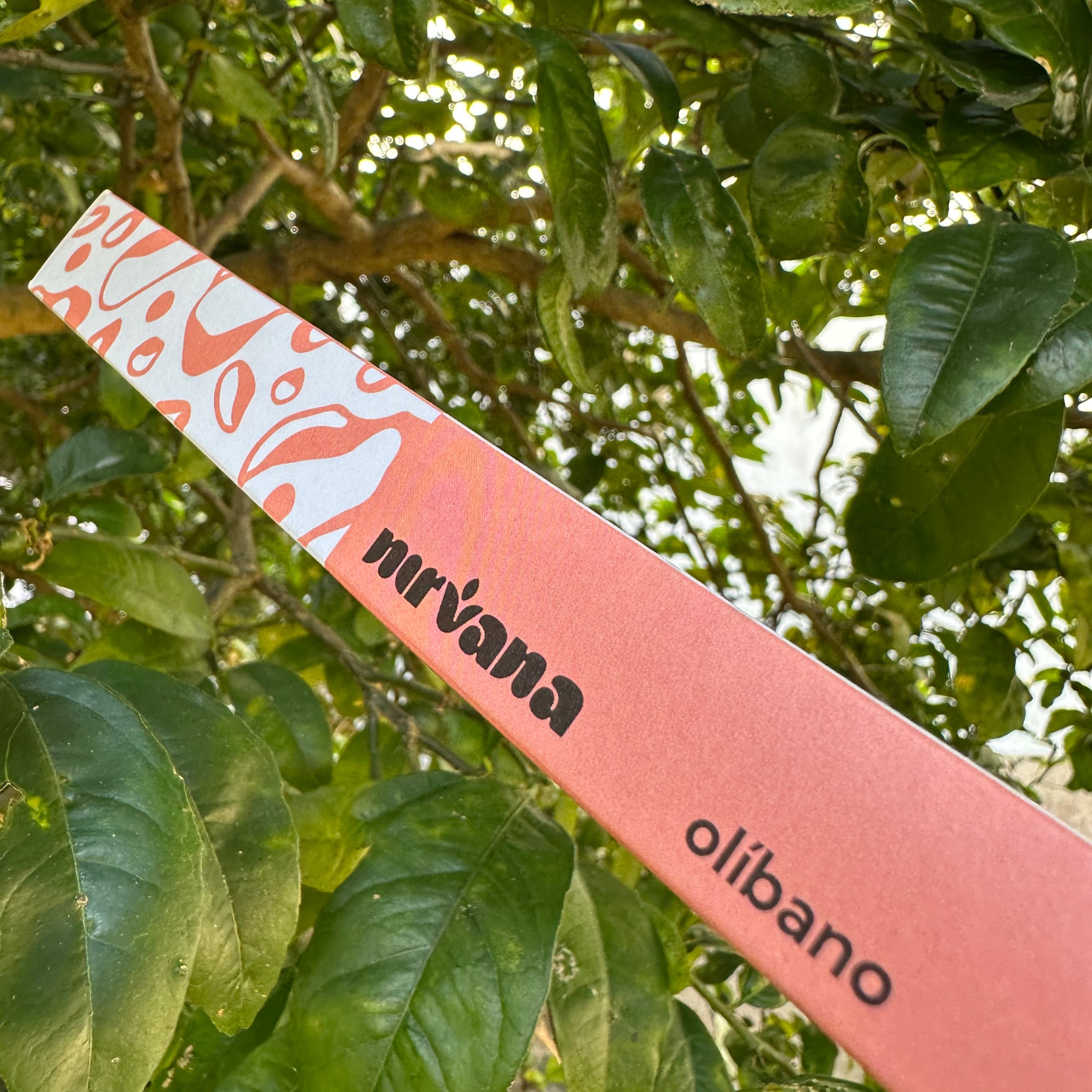 Incenso Olíbano Nirvana natural.